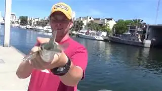 Ramp Monsters: Epic Needlefish Fishing at Fort Lauderdale Cox Marina | 15th Street Boat Launch