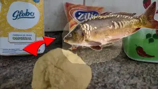 MELHOR MASSA PARA PEGAR CARPA NA REPRESA DO BROA