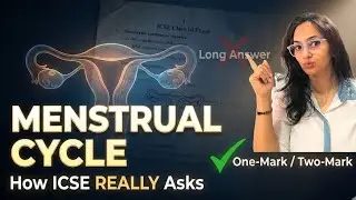 Menstrual Cycle &ndash; How ICSE Actually Asks This Chapter | Class 10 Biology Exam Strategy