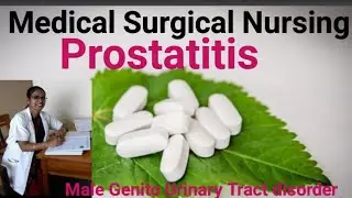 Medical Surgical Nursing; Prostatitis Class with notes.Male Genito Urinary Tract disease #Nirmala