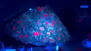 Посещение магазина MINERS ROCK SHOP в Финиксе, штат Аризона — прекрасное место с приветливыми лиц...