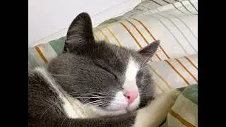 Dudde After Midnight - Close Call