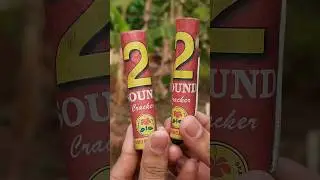 One shot, two shots😮 2 Sound Cracker #vishu #padakkam #shorts #crackers