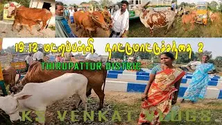 அட்டகாசமான நாட்டுகன்றுகள் சிறப்பான காளைகள் மட்றபள்ளிமாட்டுசந்தை பகுதி 2 #ksvenkatvlogs #சந்தை #cow