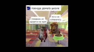 У нас еда очень похожа на корм #мем