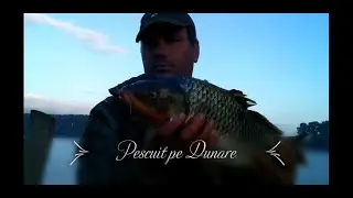Pescuit pe Dunare la crap in Tulcea 2021(crap,caras și plătică)#pescuitlafeeder#pescuitpeDunăre#