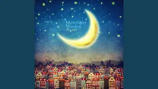Moonlight window