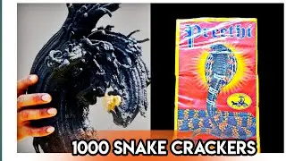 1000 பாம்பு  மாத்திரை||snake tablet  crackers at once  experiment ||