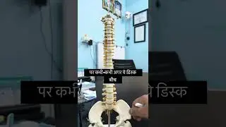 Disc Protrusion Physiotherapy Tips #physiotherapy #spinalcordinjury #spinaldecompression