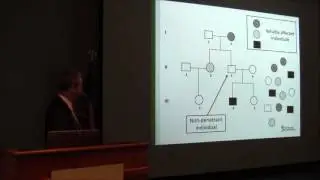 Approaches to understanding human malformations in the genomics era