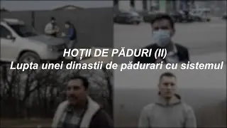 Hoții de păduri (II). Lupta unei dinastii de pădurari cu sistemul | zdg.md