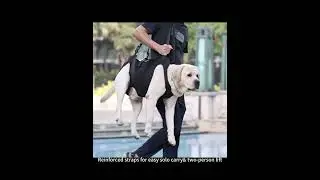 The lyunova Dog Lift Harness assist your dog, esp for ageing leg weakness and surgery. #petsupplies
