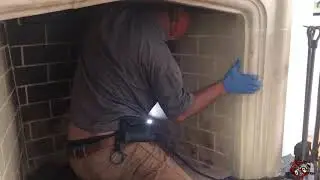 Dead Animal Removal Job in Atlanta