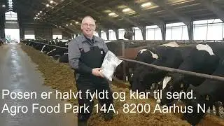Pr&oslash;veudtagning fuldfoder (TMR sampling)