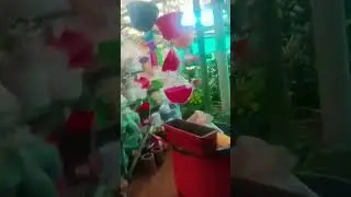 👌😃👌😃❤️🌹