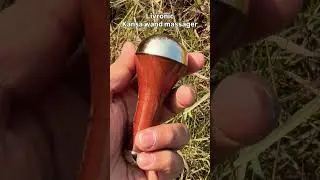 Kansa wand massager #livronic #facemassage #kansawand