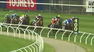 Охотник 2025 &mdash; COAL CRUSHER (3+ Qlty G2) Группа 2, Ньюкасл, 15 ноября
