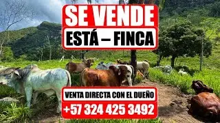 🍃(SE VENDE)🍃FINCA DE: (23) HECTÁREAS🍃Venta directa con el dueño: (+57) 324 425 3492‬🍃