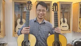 So sánh 2 guitar Bernabe Royal 2004 và Sakurai 77th | Âm thanh đi vào huyền thoại