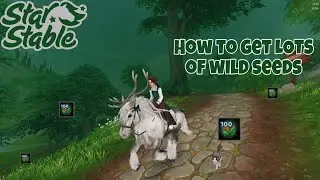 HOW TO GET A LOT OF WILD SEEDS! || Star Stable Online