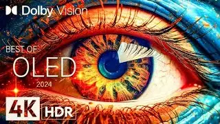 Ultra HD Nature Video | 4K Scenic Beauty | Relaxing Nature Sounds | HOBO BOSS