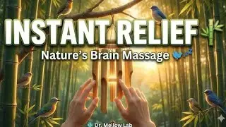 ​🎋 Heavenly Bamboo Sounds 🐦 Relieve Stress & Anxiety 🧘‍♂️