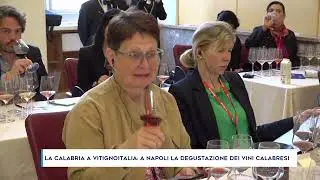 LA CALABRIA A VITIGNOITALIA: A NAPOLI LA DEGUSTAZIONE DEI VINI CALABRESI