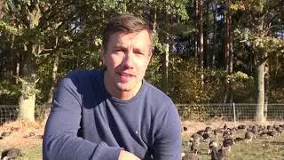 Bio Waldlandputen 2018