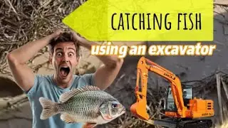 Unique!!! catching fish using an excavator