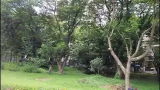 War cemetery  chattogram. Most beautiful place of Chattogram  city. 