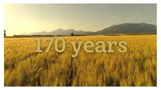 The History of Lesaffre, Episode 3: Learning, Adapting, Renewing, Day After Day
