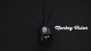 Simply Monkey Vision | Australian Security Solutions