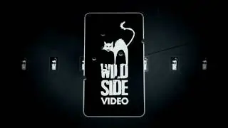 Wild Side Video Logo (La Nuit Nous Appartient 2007)