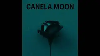 Canela Moon - found by life (reversed)