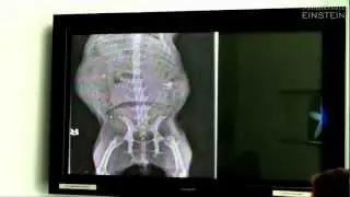 Doctors Create Interactive Radiology Teaching Kit To Educate Kids