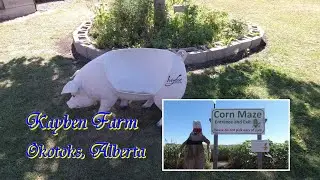 Kayben Farm 2020 | Okotoks, Alberta 🇨🇦