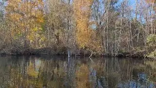 Sailing on Vinkeveen Lakes (Autumn): Peat Island & Swamp forest at eastside Botshol nature reserve