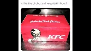 Funniest BIRD BOX Memes On The Internet