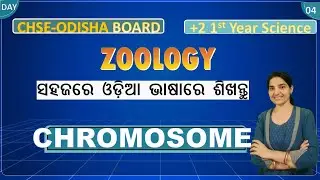 Chromosome -CHSE-Board||Class 11 Biology| Structure, Types & Functions||Acrocentric ||Metacentric