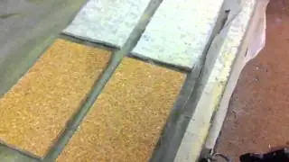 Natural Acoustic Barrier