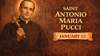 Saint Antonio Maria Pucci | Humble Parish Priest and Servant of the Poor | January 12