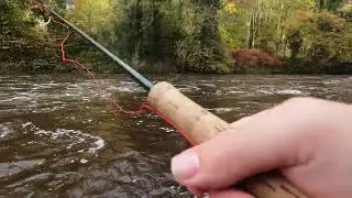 Seasons end. Finnock or brownie? Rod advice needed.