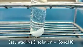 Experiment Chemical equilibrium of saturated sodium chloride solution