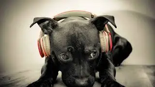 Funky House Mix 2026 / Mixed By Cole / Session 82#house#funkyhouse #deephouse