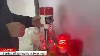 tuning fork level switches