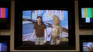 Wayne's World - Delaware
