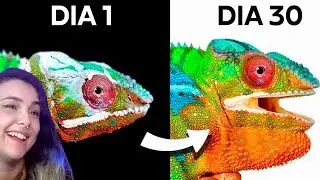 A Criação do Meu Camaleão de Estimação
