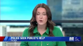 Palmer police seek driver in Tesla pepper spray incident