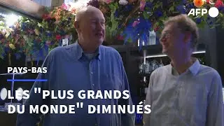 Aux Pays-Bas, les 