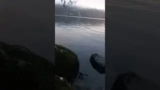 REAL Loch Ness Monster Footage... or is it? 🦕